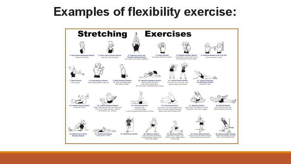 Examples of flexibility exercise: 