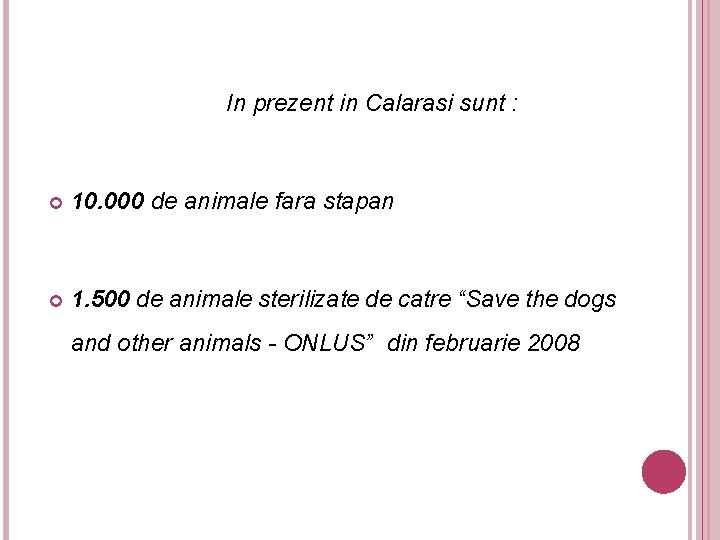 In prezent in Calarasi sunt : 10. 000 de animale fara stapan 1. 500