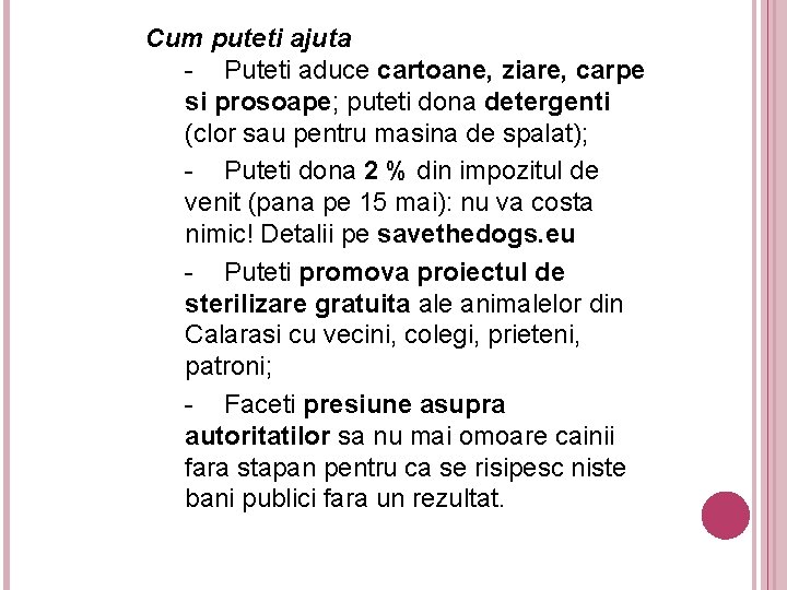 Cum puteti ajuta - Puteti aduce cartoane, ziare, carpe si prosoape; puteti dona detergenti