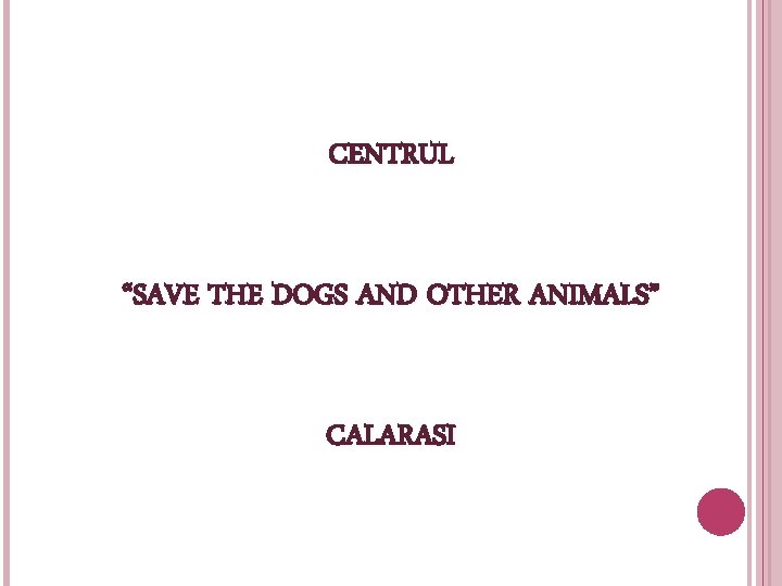 CENTRUL “SAVE THE DOGS AND OTHER ANIMALS” CALARASI 