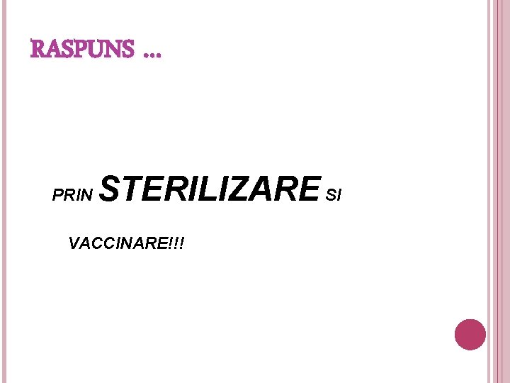 RASPUNS … PRIN STERILIZARE SI VACCINARE!!! 