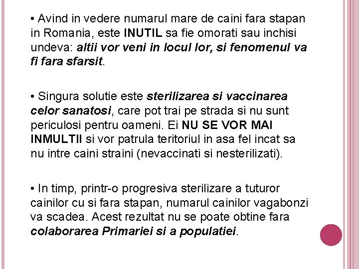  • Avind in vedere numarul mare de caini fara stapan in Romania, este