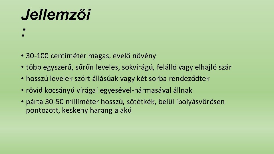 Jellemzői : • 30 -100 centiméter magas, évelő növény • több egyszerű, sűrűn leveles,