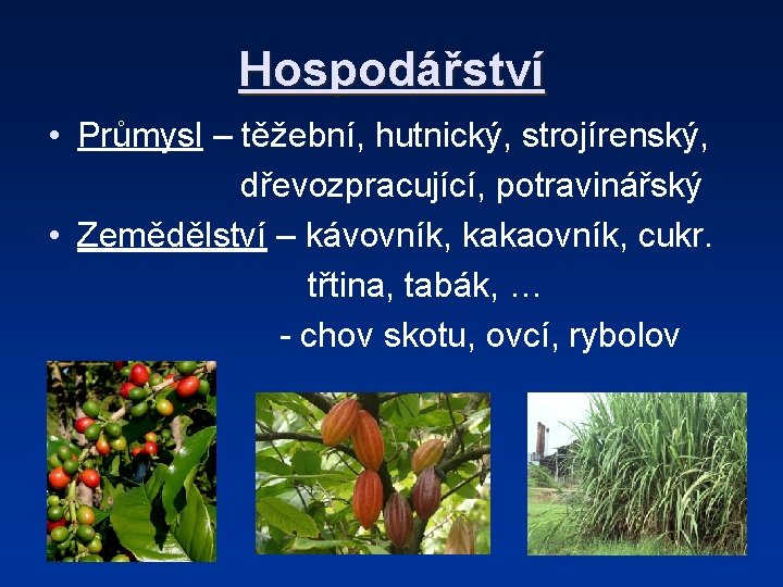 Hospodářství • Průmysl – těžební, hutnický, strojírenský, dřevozpracující, potravinářský • Zemědělství – kávovník, kakaovník,