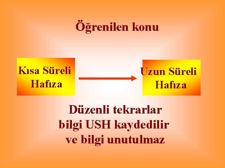 Öğrenilen konu Kısa Süreli Hafıza Uzun Süreli Hafıza Düzenli tekrarlar bilgi USH kaydedilir ve