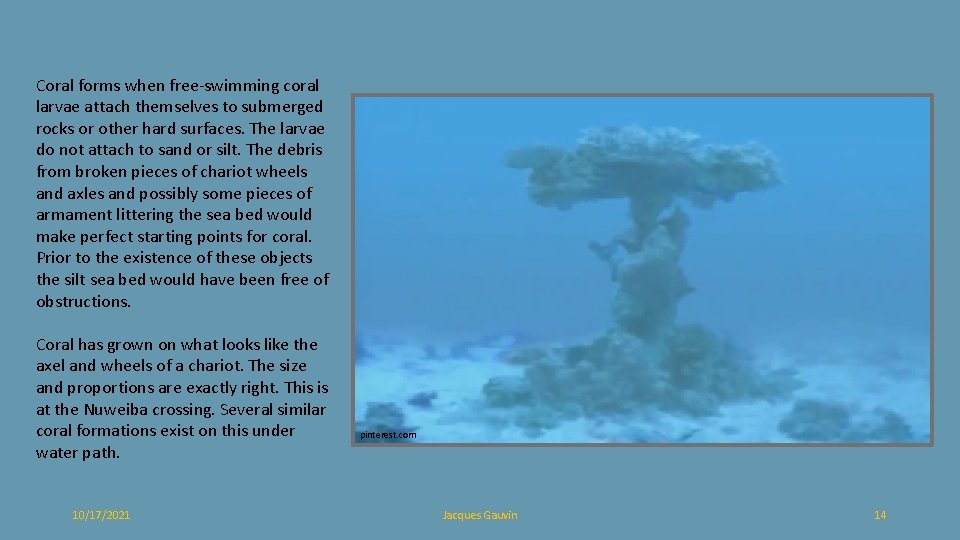 Coral forms when free-swimming coral larvae attach themselves to submerged rocks or other hard