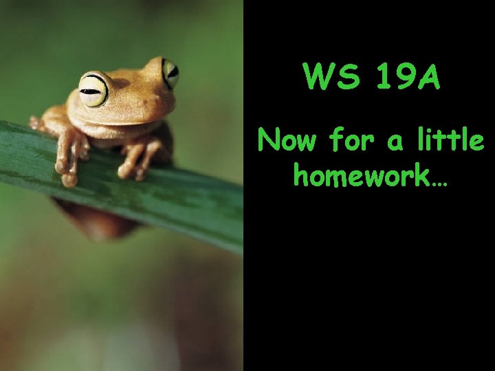WS 19 A Now for a little homework… 