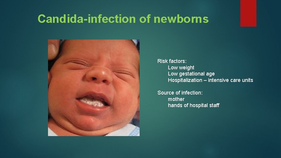 Candida-infection of newborns Risk factors: Low weight Low gestational age Hospitalization – intensive care