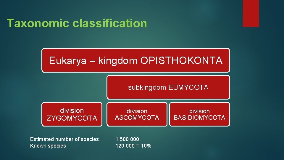 Taxonomic classification Eukarya – kingdom OPISTHOKONTA subkingdom EUMYCOTA division ZYGOMYCOTA Estimated number of species