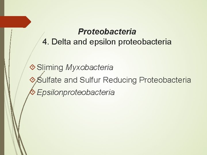 Proteobacteria 4. Delta and epsilon proteobacteria Sliming Myxobacteria Sulfate and Sulfur Reducing Proteobacteria Epsilonproteobacteria