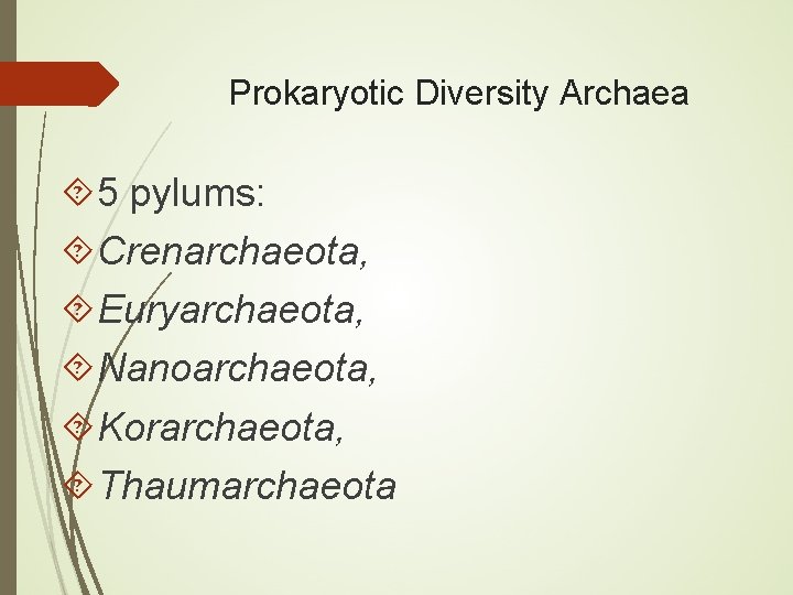 Prokaryotic Diversity Archaea 5 pylums: Crenarchaeota, Euryarchaeota, Nanoarchaeota, Korarchaeota, Thaumarchaeota 