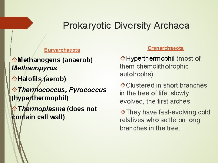 Prokaryotic Diversity Archaea Euryarchaeota Methanogens (anaerob) Methanopyrus Halofils (aerob) Thermococcus, Pyrococcus (hyperthermophil) Thermoplasma (does