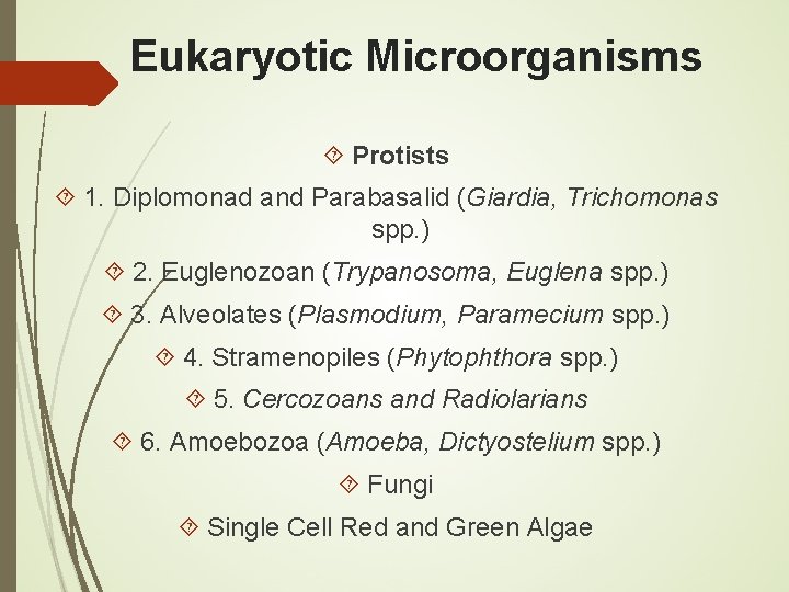 Eukaryotic Microorganisms Protists 1. Diplomonad and Parabasalid (Giardia, Trichomonas spp. ) 2. Euglenozoan (Trypanosoma,