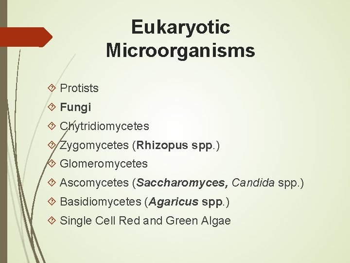 Eukaryotic Microorganisms Protists Fungi Chytridiomycetes Zygomycetes (Rhizopus spp. ) Glomeromycetes Ascomycetes (Saccharomyces, Candida spp.