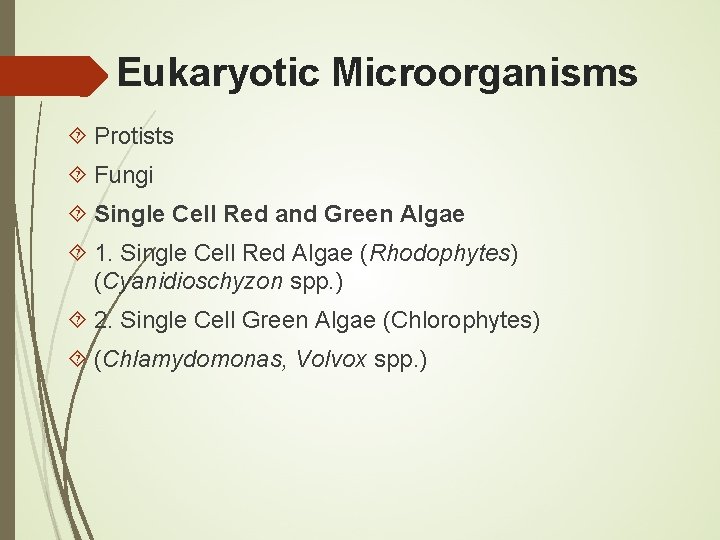 Eukaryotic Microorganisms Protists Fungi Single Cell Red and Green Algae 1. Single Cell Red