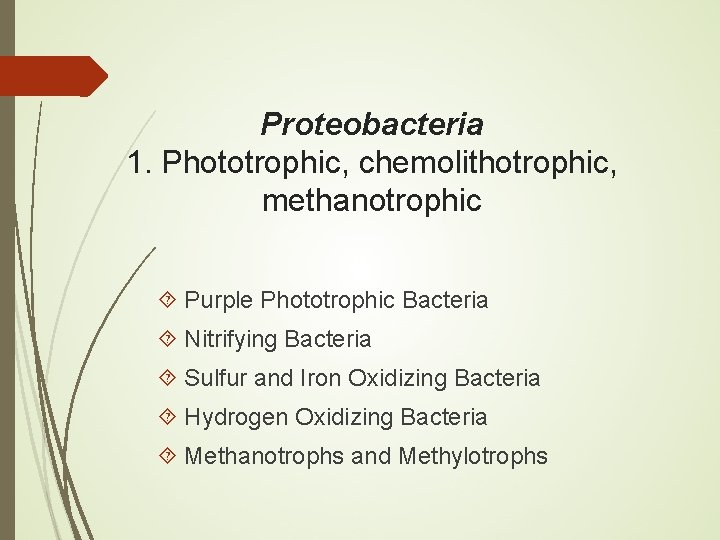 Proteobacteria 1. Phototrophic, chemolithotrophic, methanotrophic Purple Phototrophic Bacteria Nitrifying Bacteria Sulfur and Iron Oxidizing