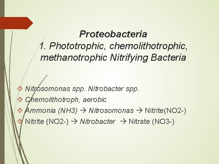 Proteobacteria 1. Phototrophic, chemolithotrophic, methanotrophic Nitrifying Bacteria Nitrosomonas spp. Nitrobacter spp. Chemolithotroph, aerobic Ammonia