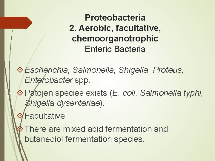 Proteobacteria 2. Aerobic, facultative, chemoorganotrophic Enteric Bacteria Escherichia, Salmonella, Shigella, Proteus, Enterobacter spp. Patojen