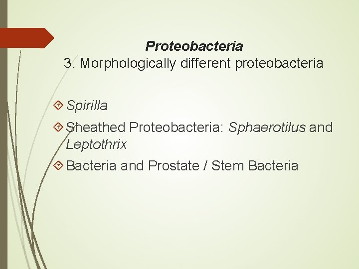 Proteobacteria 3. Morphologically different proteobacteria Spirilla Sheathed Proteobacteria: Sphaerotilus and Leptothrix Bacteria and Prostate