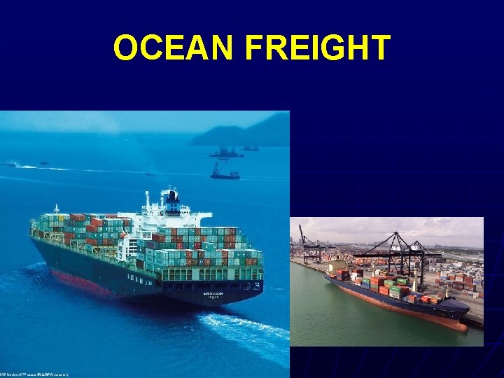 OCEAN FREIGHT 