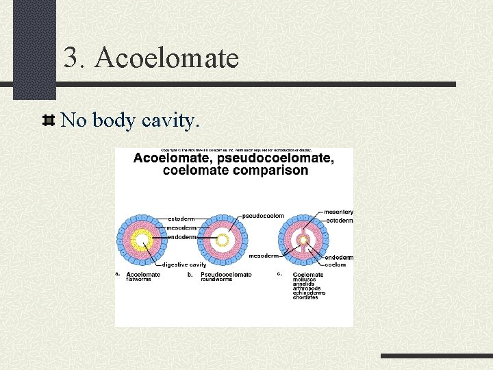 3. Acoelomate No body cavity. 