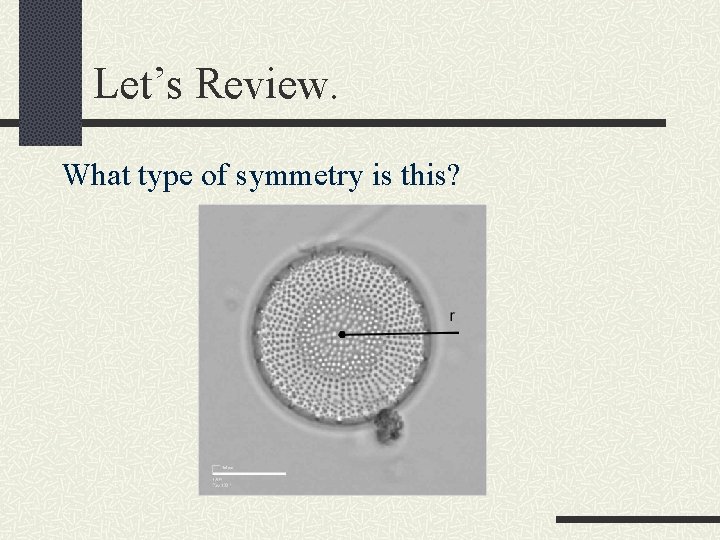 Let’s Review. What type of symmetry is this? 