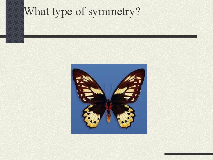 What type of symmetry? 