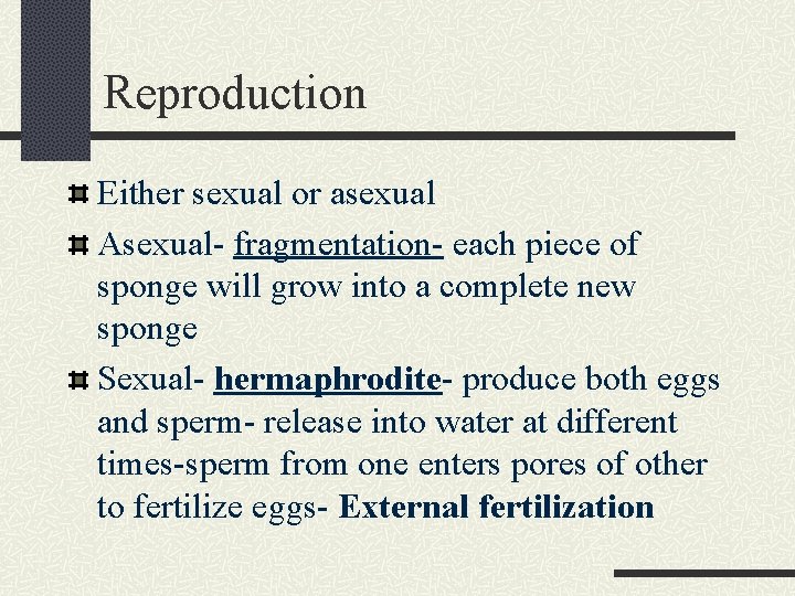 Reproduction Either sexual or asexual Asexual- fragmentation- each piece of sponge will grow into