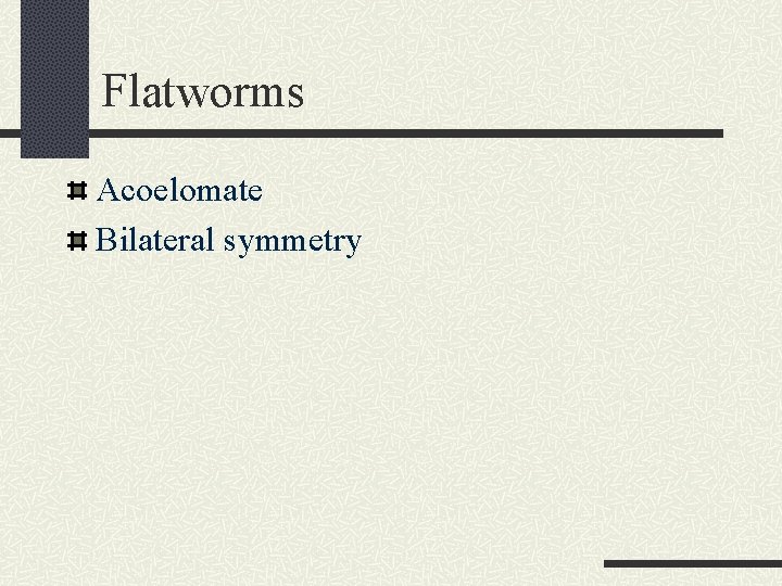 Flatworms Acoelomate Bilateral symmetry 