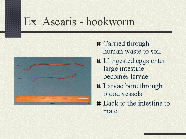 Ex. Ascaris - hookworm Carried through human waste to soil If ingested eggs enter