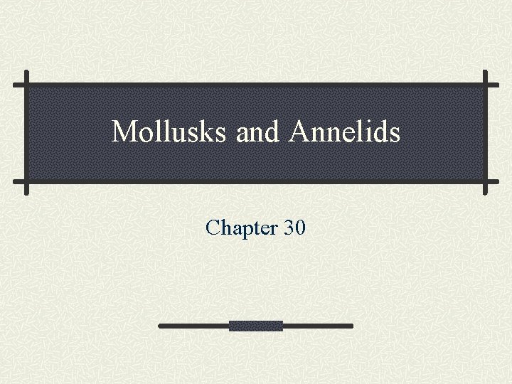 Mollusks and Annelids Chapter 30 