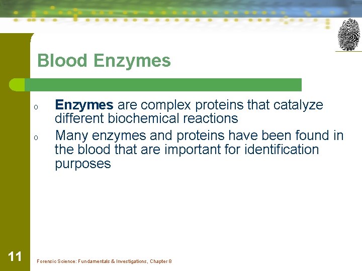 Blood Enzymes o o 11 Enzymes are complex proteins that catalyze different biochemical reactions
