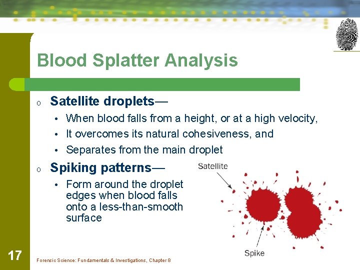 Blood Splatter Analysis o Satellite droplets— • When blood falls from a height, or