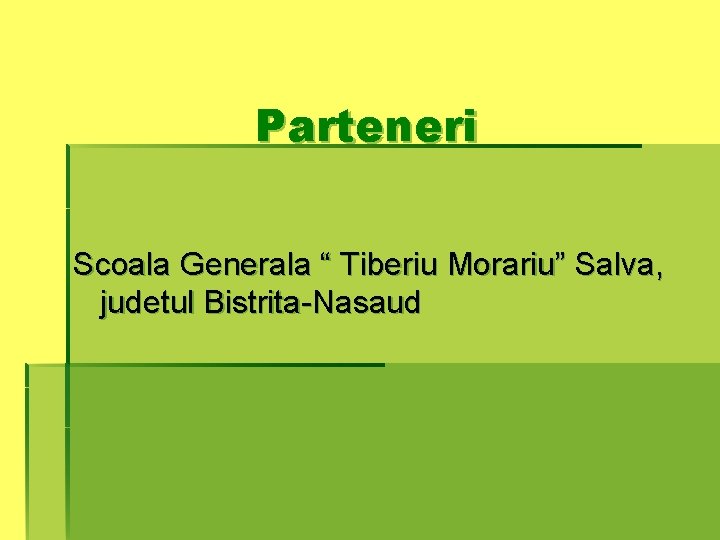 Parteneri Scoala Generala “ Tiberiu Morariu” Salva, judetul Bistrita-Nasaud 