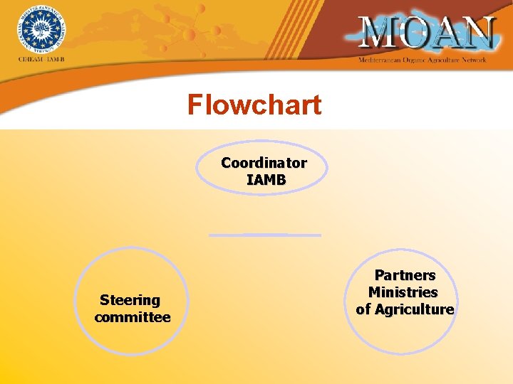 Flowchart Coordinator IAMB Steering committee Partners Ministries of Agriculture 