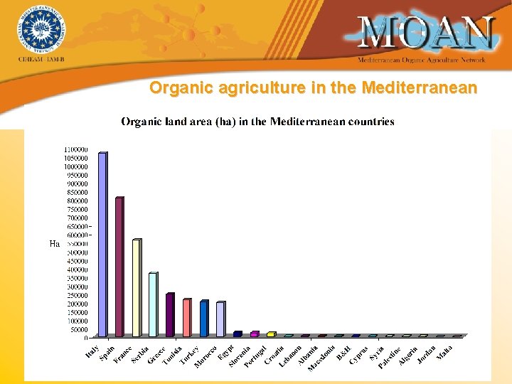 Organic agriculture in the Mediterranean 