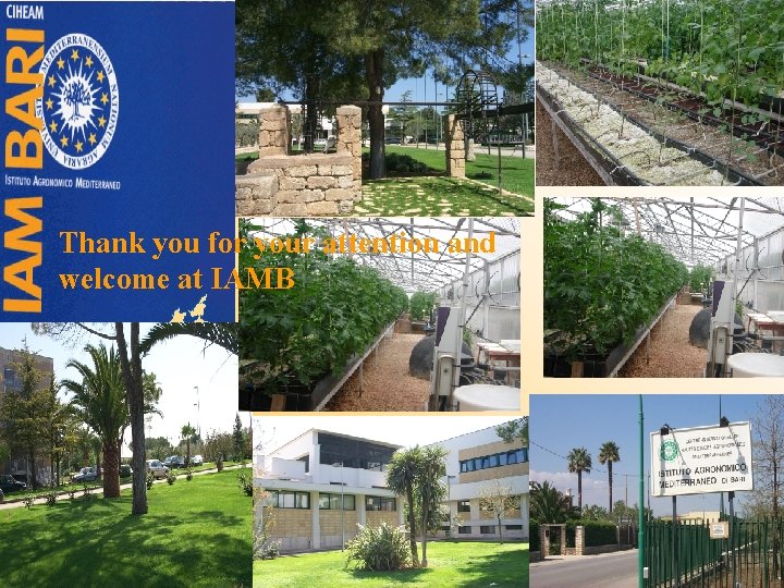 Thank you for your attention and welcome at IAMB 