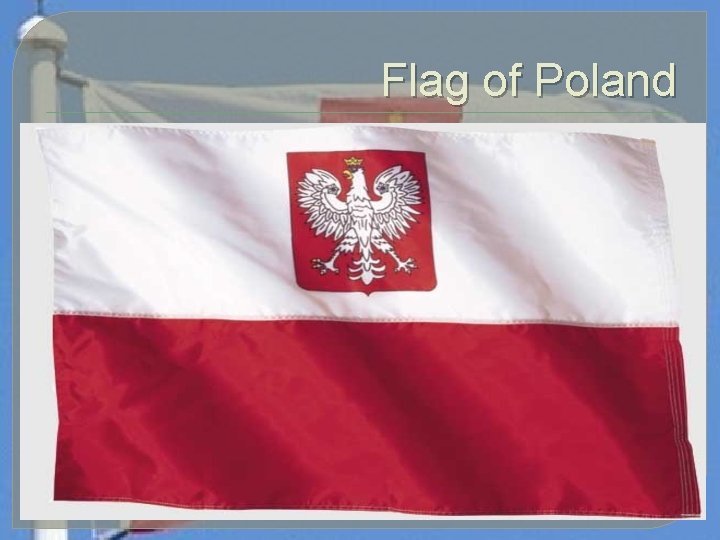 Flag of Poland 