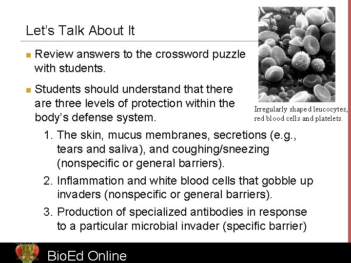 Let’s Talk About It n n Review answers to the crossword puzzle with students.