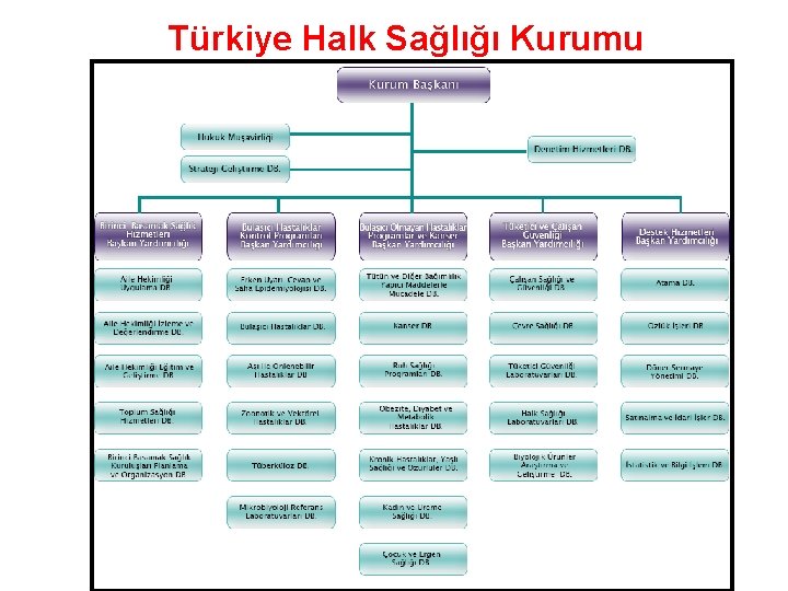 Türkiye Halk Sağlığı Kurumu 