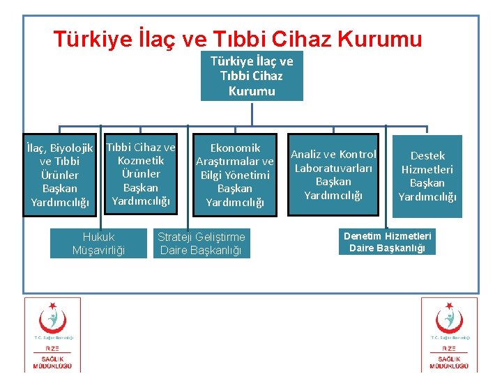 Türkiye İlaç ve Tıbbi Cihaz Kurumu İlaç, Biyolojik ve Tıbbi Ürünler Başkan Yardımcılığı Tıbbi