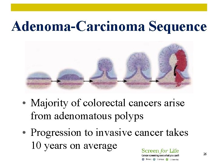 Adenoma-Carcinoma Sequence • Majority of colorectal cancers arise from adenomatous polyps • Progression to