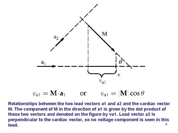 Relationships between the two lead vectors a 1 and a 2 and the cardiac