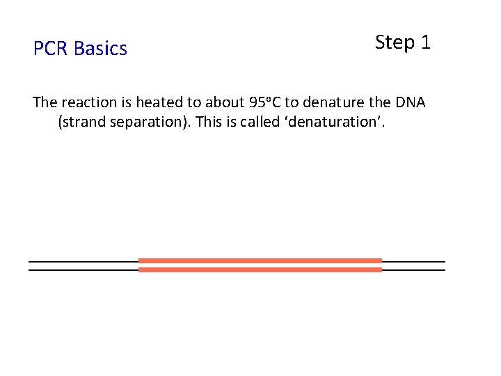 PCR Basics Step 1 The reaction is heated to about 95 o. C to
