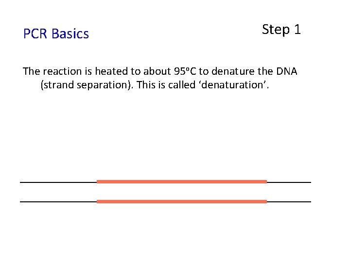PCR Basics Step 1 The reaction is heated to about 95 o. C to