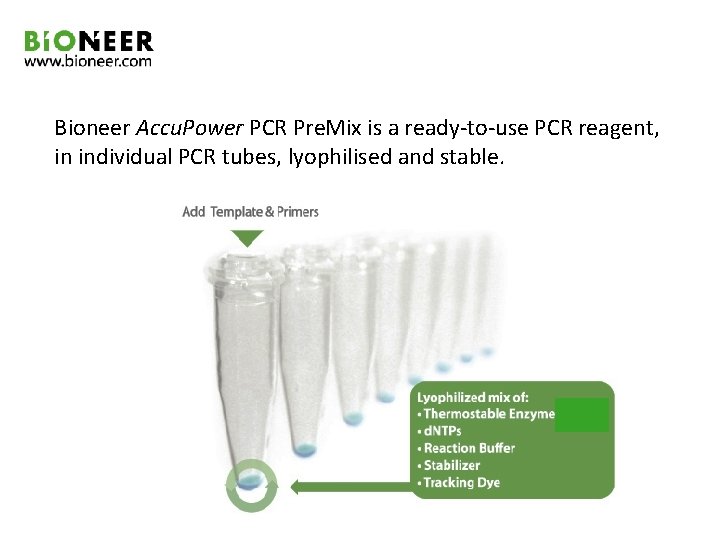 Bioneer Accu. Power PCR Pre. Mix is a ready-to-use PCR reagent, in individual PCR