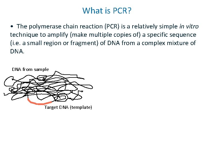 What is PCR? • The polymerase chain reaction (PCR) is a relatively simple in