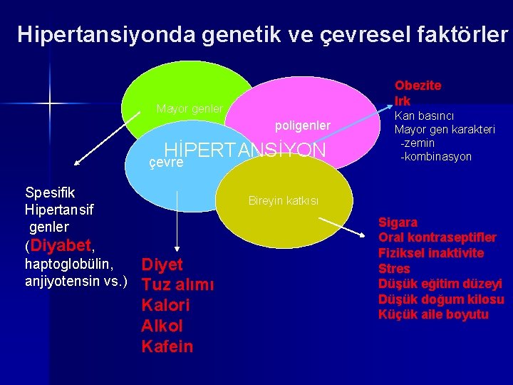 Hipertansiyonda genetik ve çevresel faktörler Obezite Irk Mayor genler poligenler HİPERTANSİYON çevre Spesifik Hipertansif