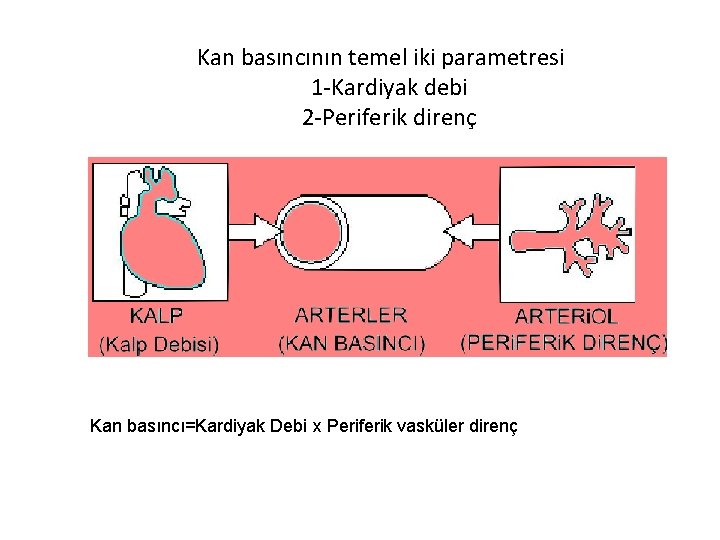 Kan basıncının temel iki parametresi 1 -Kardiyak debi 2 -Periferik direnç Kan basıncı=Kardiyak Debi