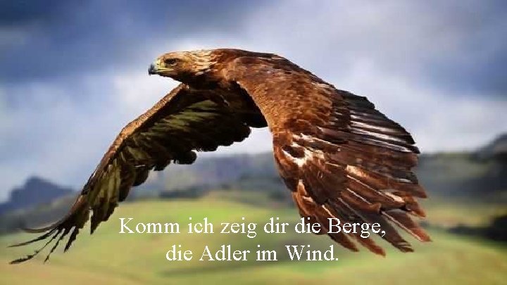 Komm ich zeig dir die Berge, die Adler im Wind. 